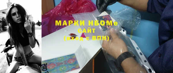 стафф Осинники
