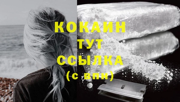 стафф Осинники