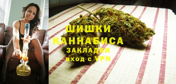 стафф Осинники