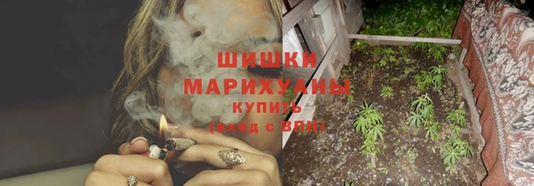 стафф Осинники