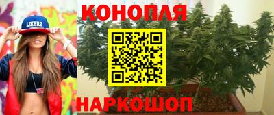 стафф Кандалакша