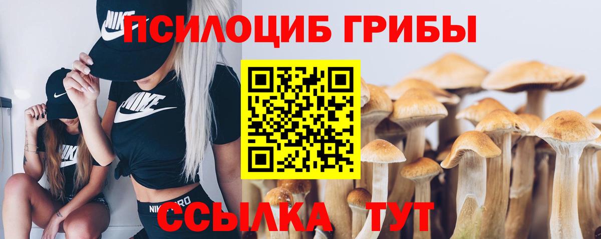 Псилоцибиновые грибы Cubensis  Вход с VPN  Тула 
